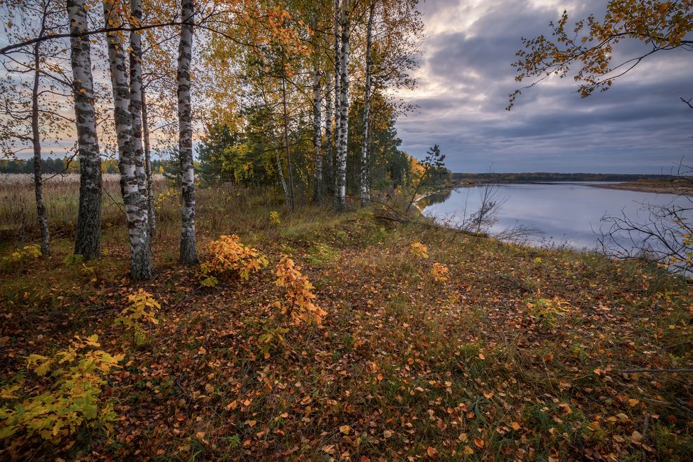 На осеннем берегу
