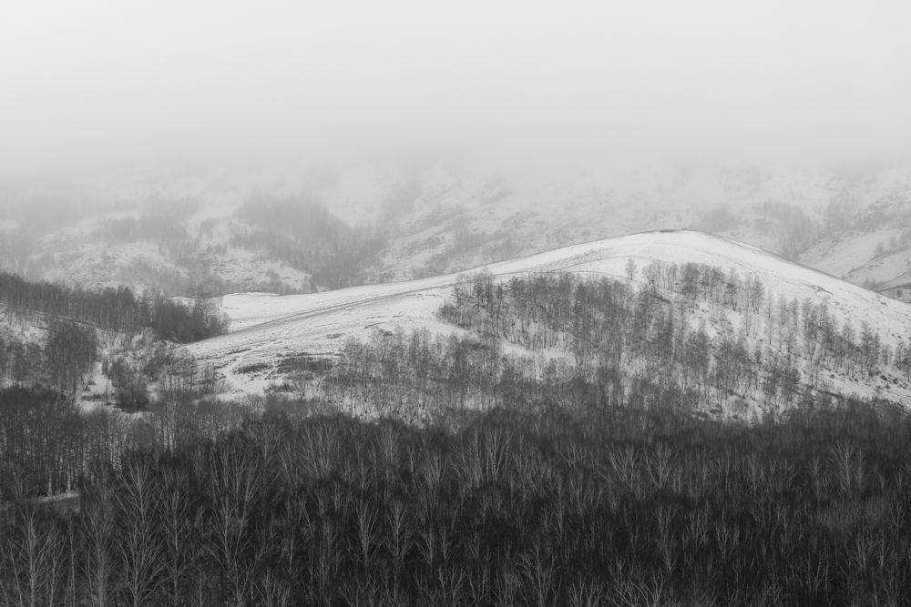 Photo 2934877