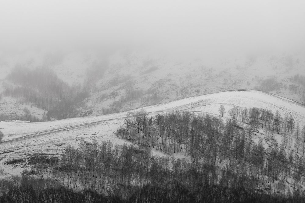 Photo 2934878