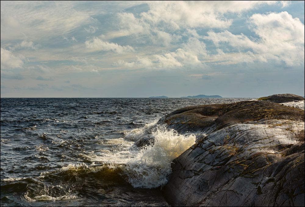 Водяной пудель