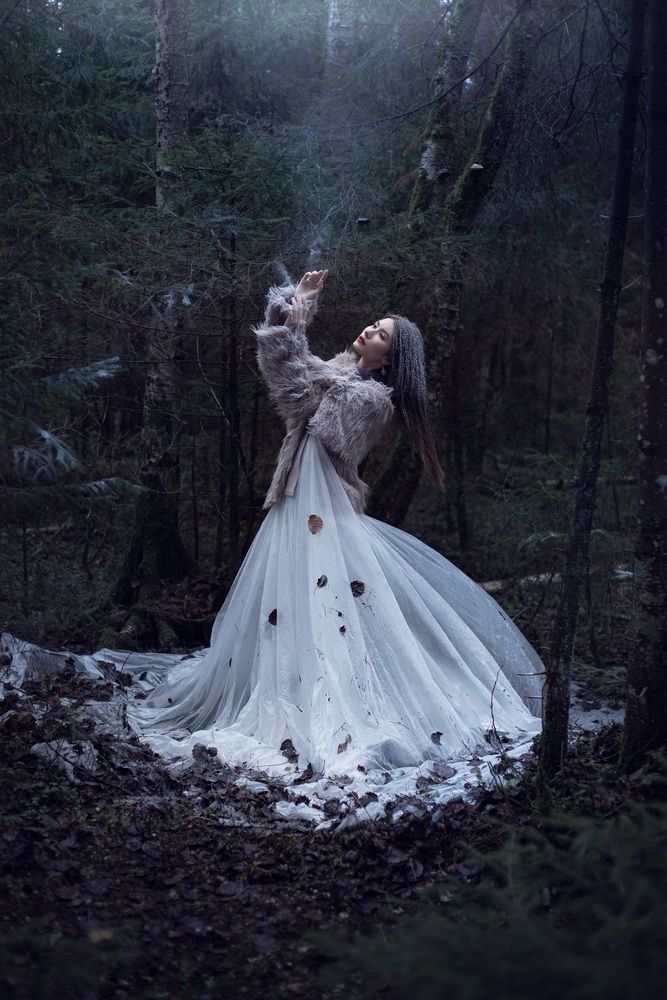 / The Snow Queen___/