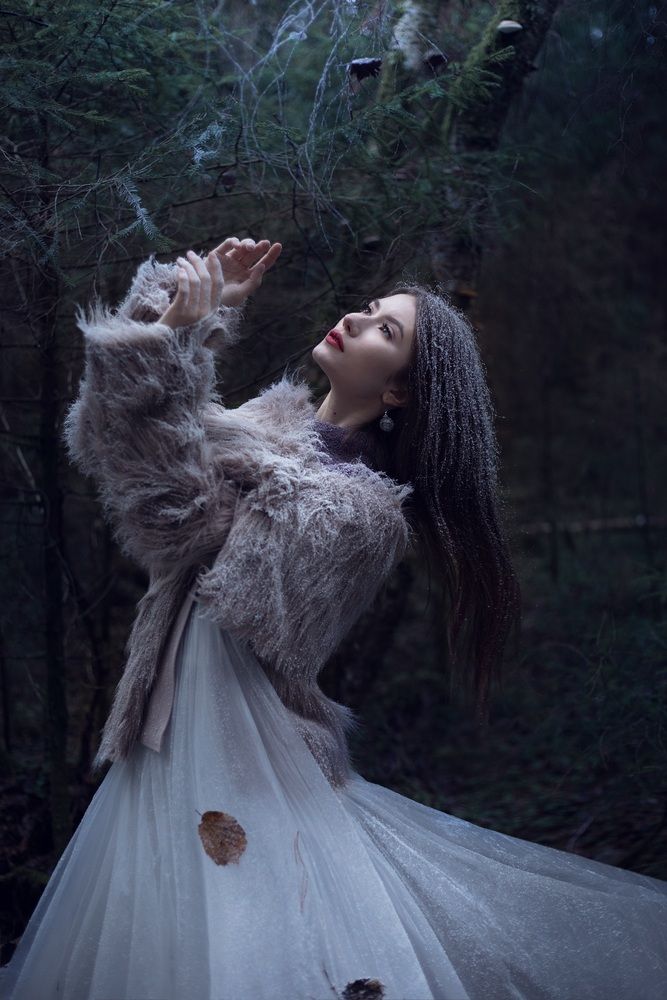 / The Snow Queen___/