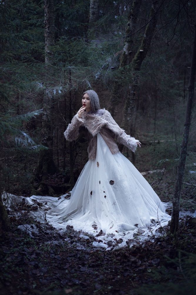 / The Snow Queen___/