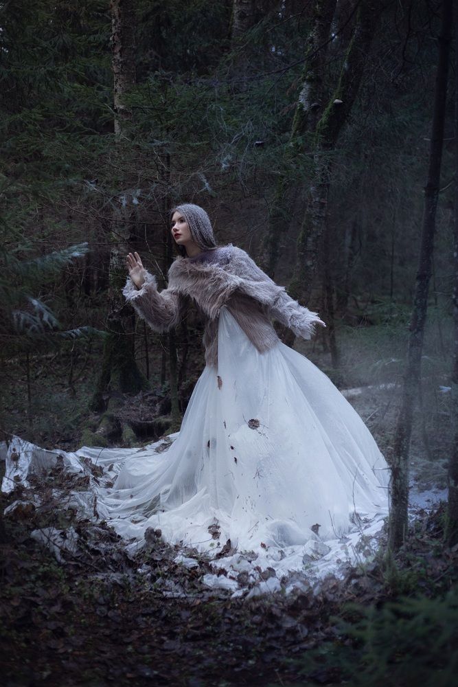 / The Snow Queen___/