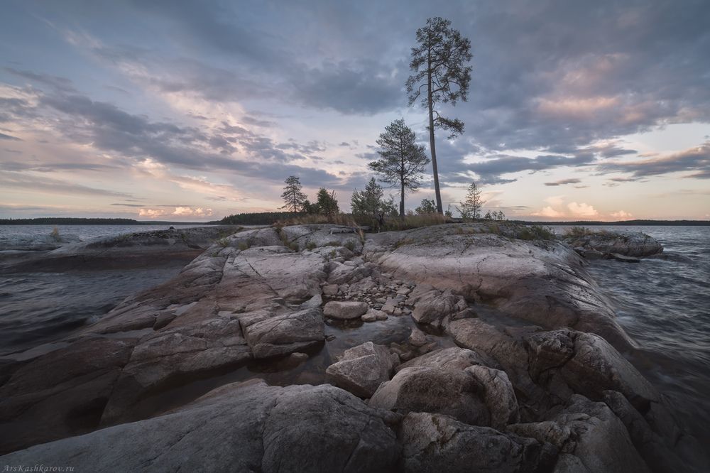 Сегозерский кит