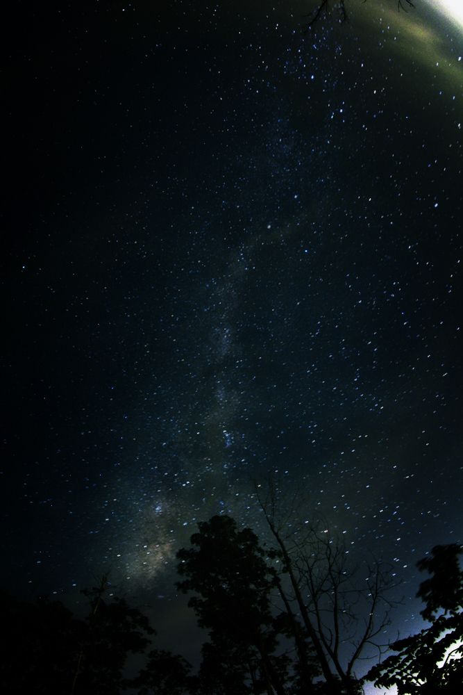 Photo 2938283