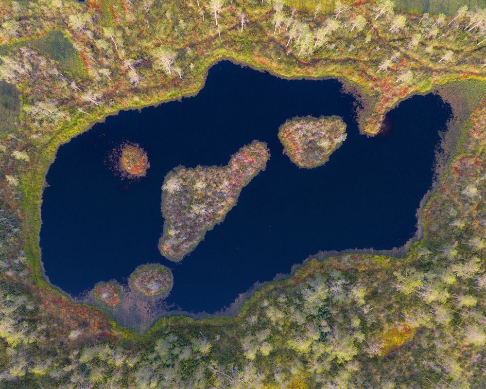 Болота. Озерца. Островки.