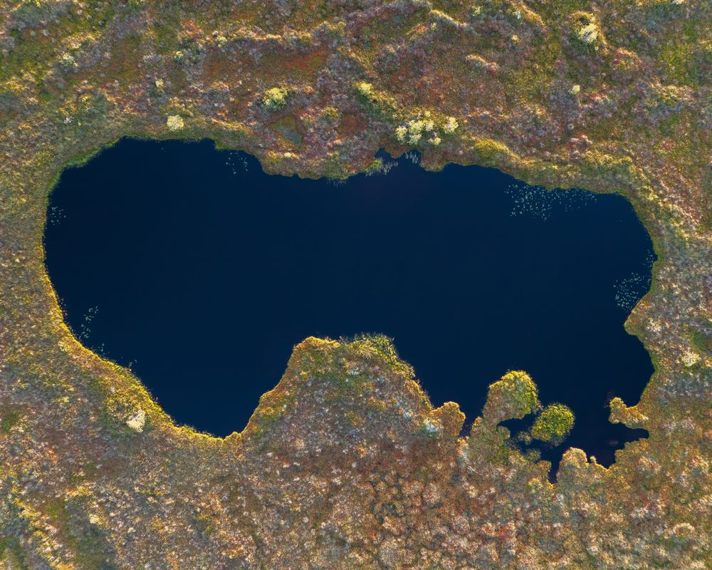 Болота. Озерца. Островки.