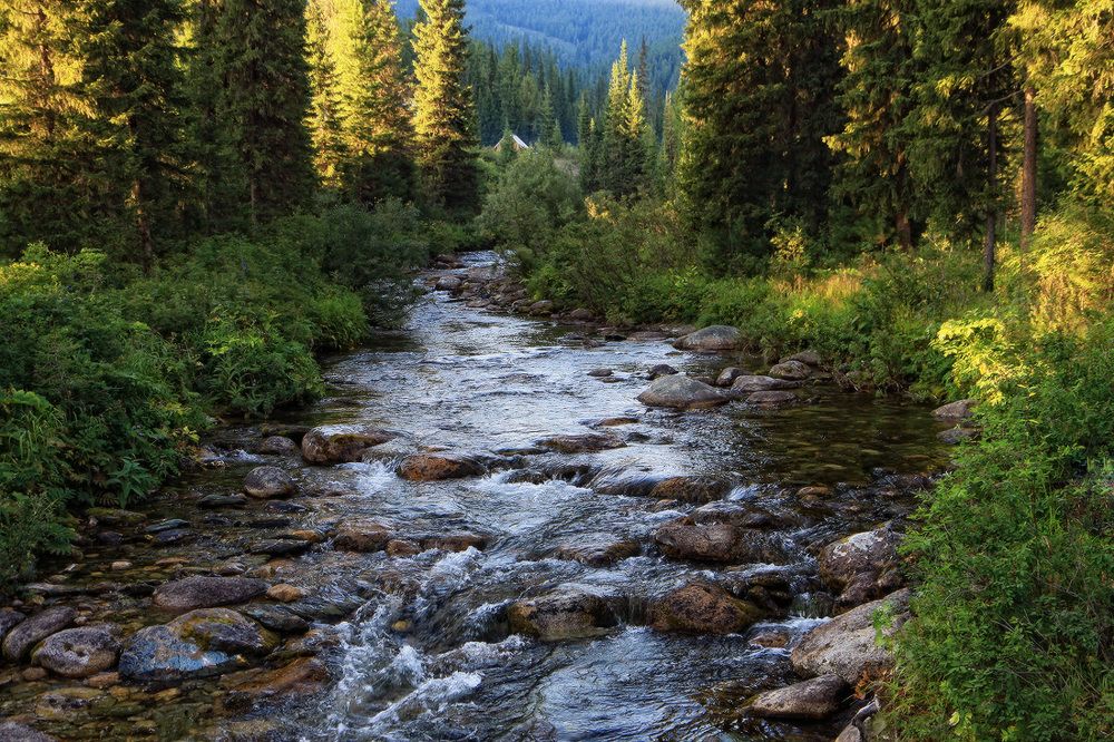 Река Тушканчик