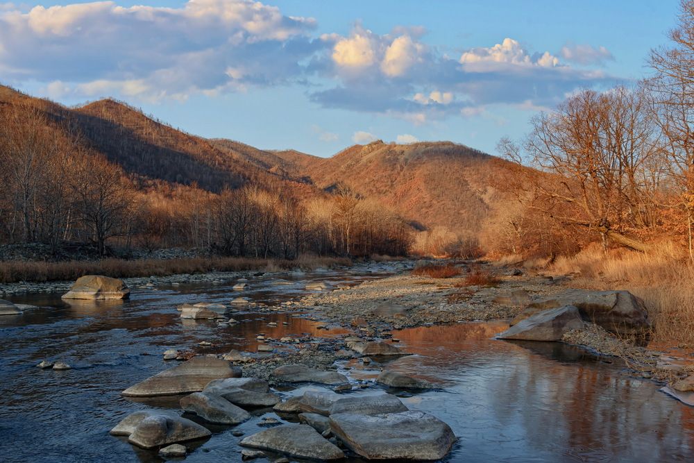 Осеннее утро