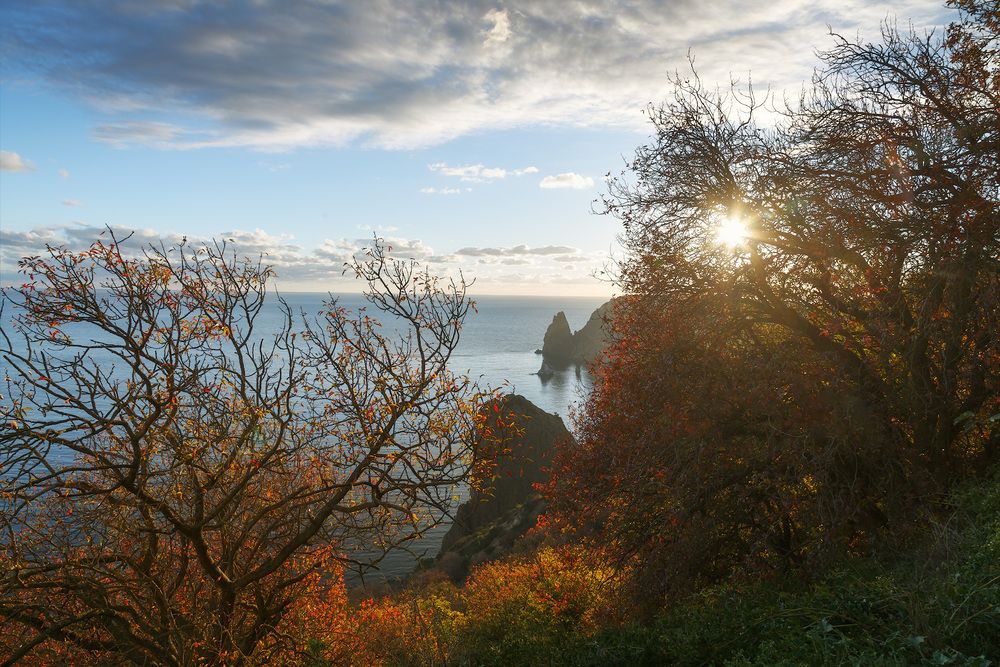 Фиолент и осень.
