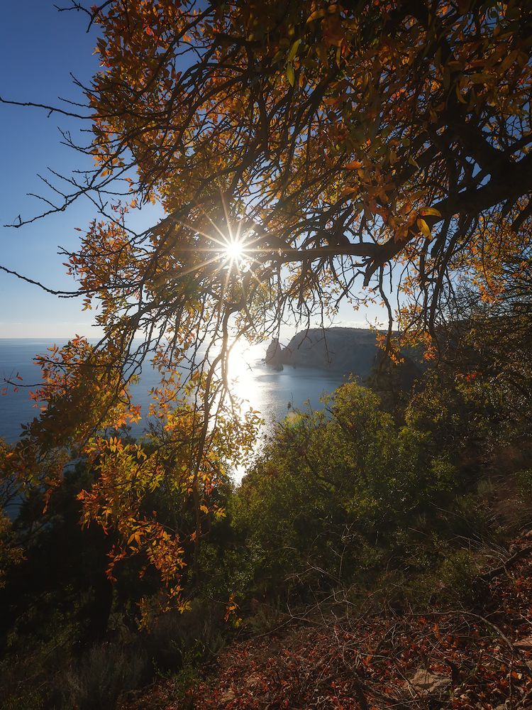 Фиолент и осень.