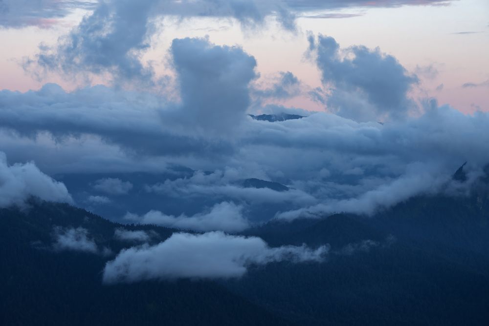 Photo 2944842