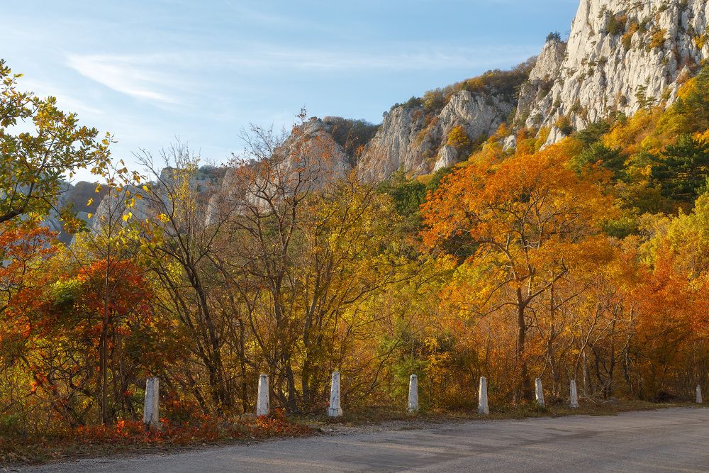 Старое Севастопольское шоссе. Дорога осени.
