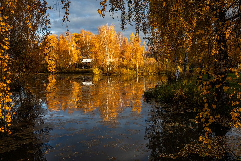Осенние краски Костромской слободы