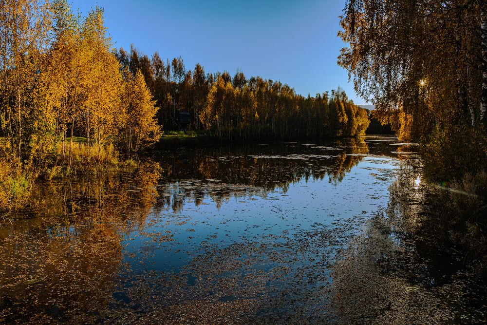 Осенние краски Костромской слободы