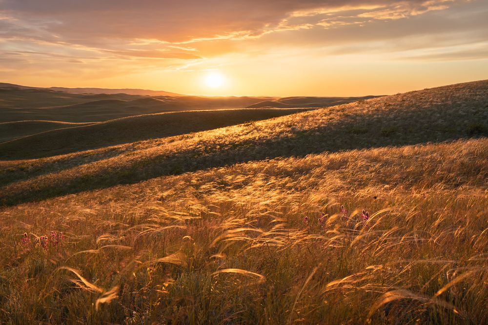 Закат в ковыльной степи