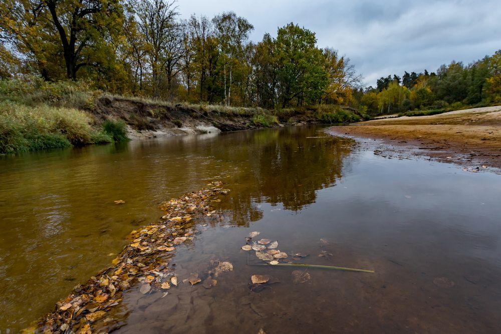 Вода отступила