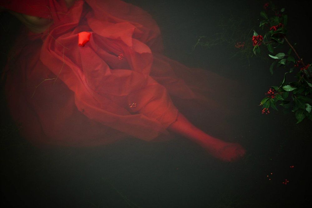 Photo 295197