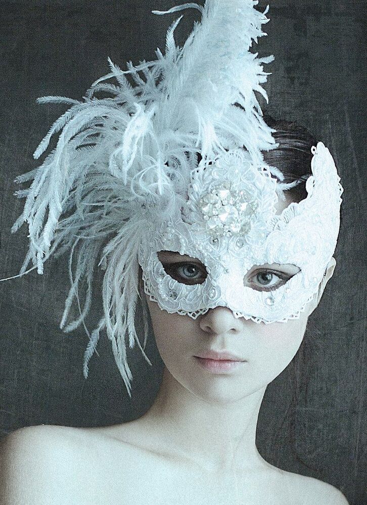Photo 295357