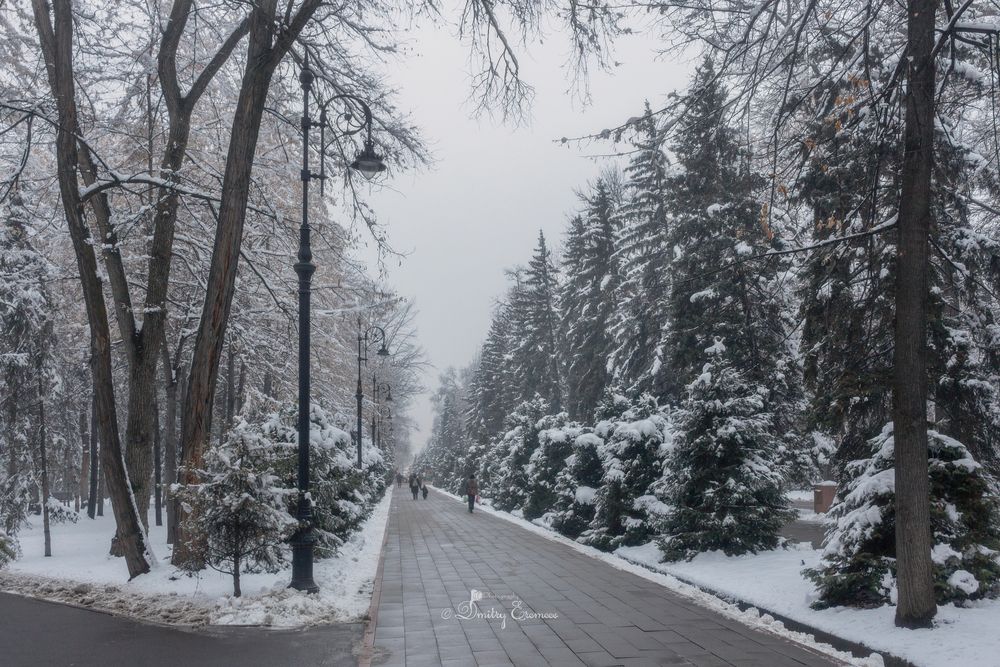 Тихий парк в снежный день, подобен тайному саду, наполняющему душу...