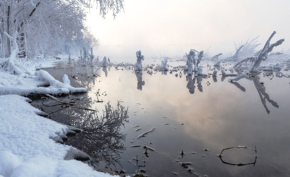 Речные жители на прогулке