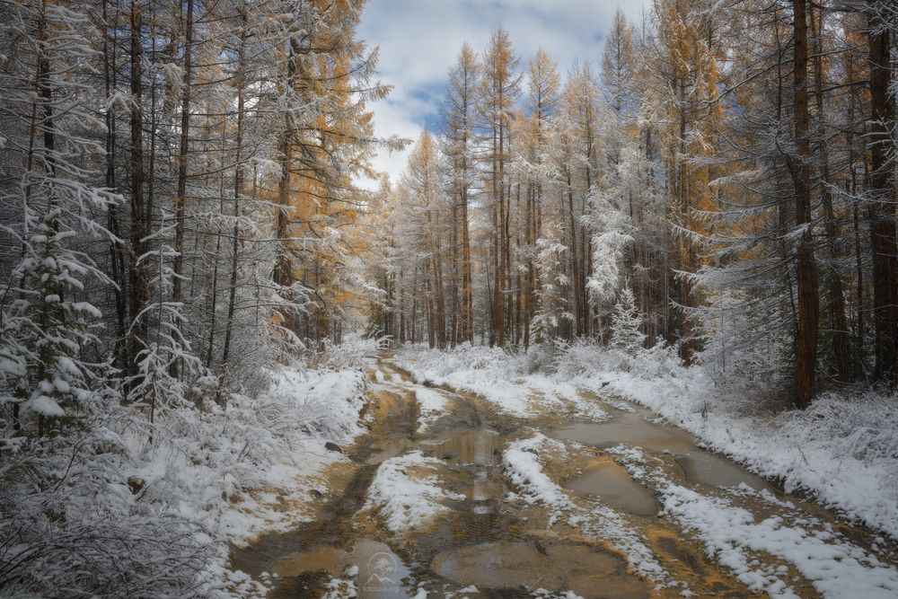 По краю осени