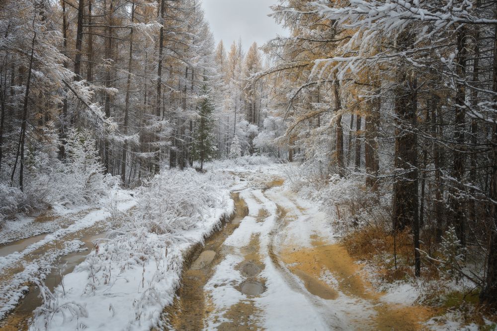 По краю осени