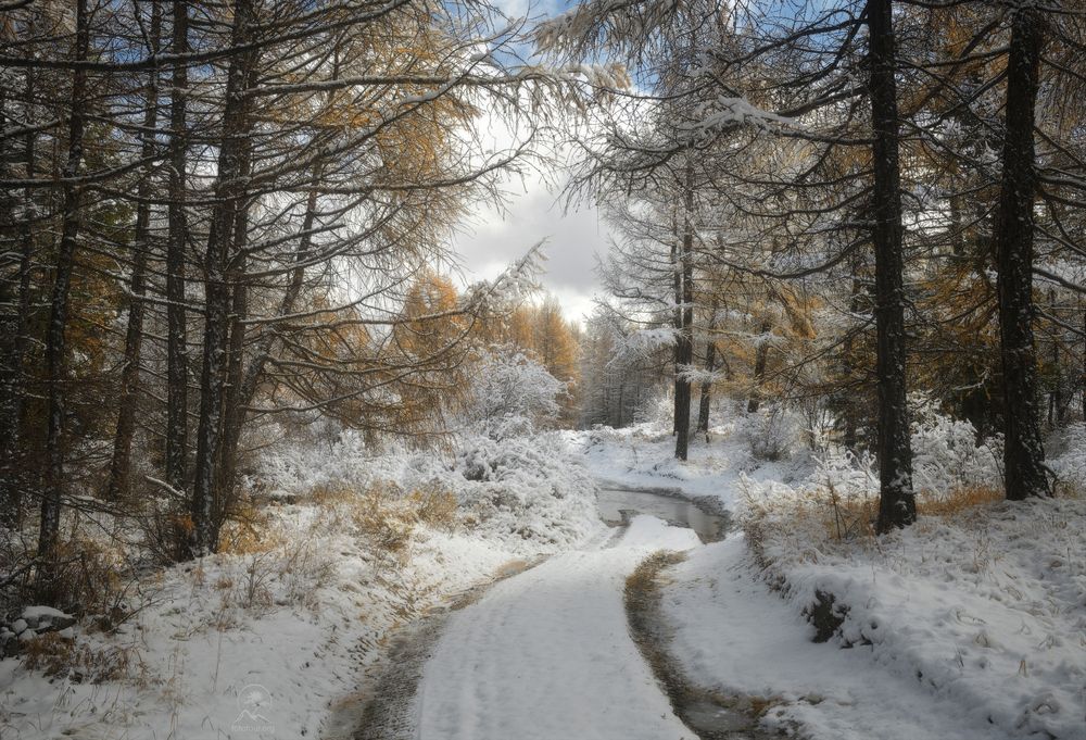 По краю осени