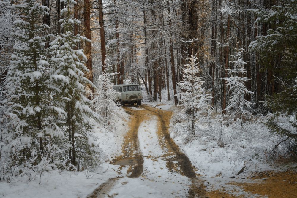 По краю осени