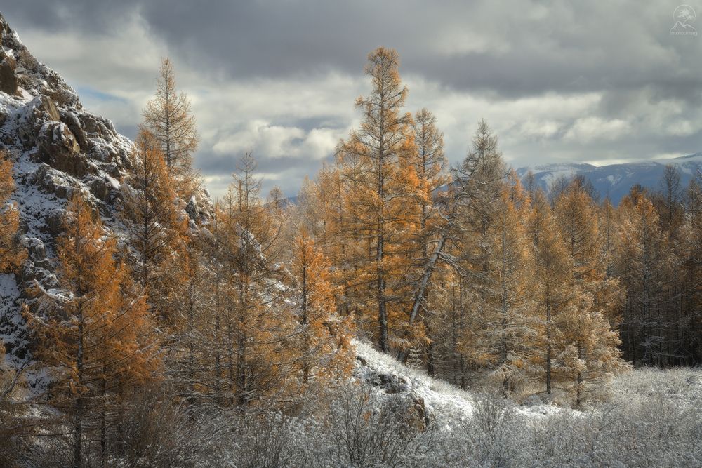 По краю осени