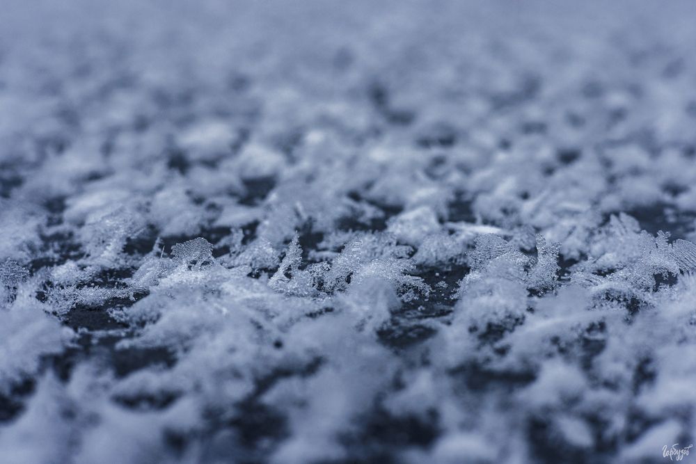 На велосипедах по Шатскому водохранилищу