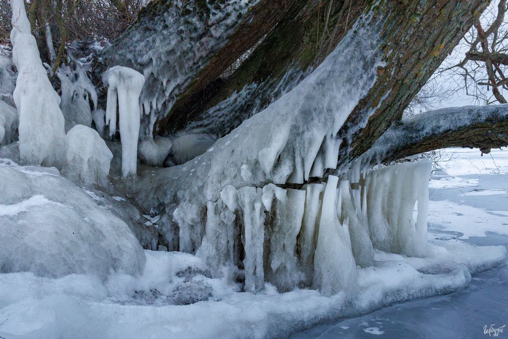 На велосипедах по Шатскому водохранилищу