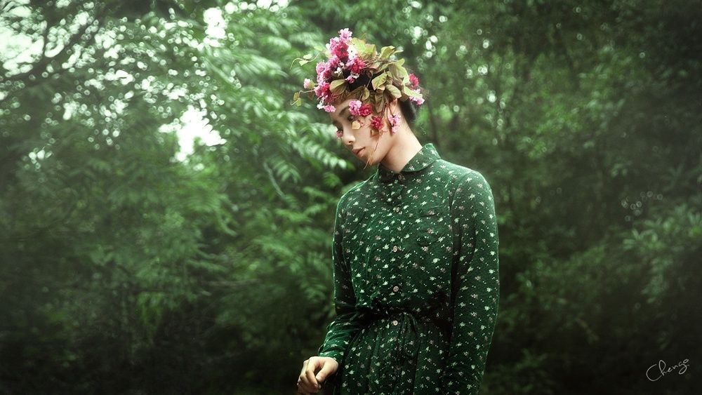 Photo 2952045
