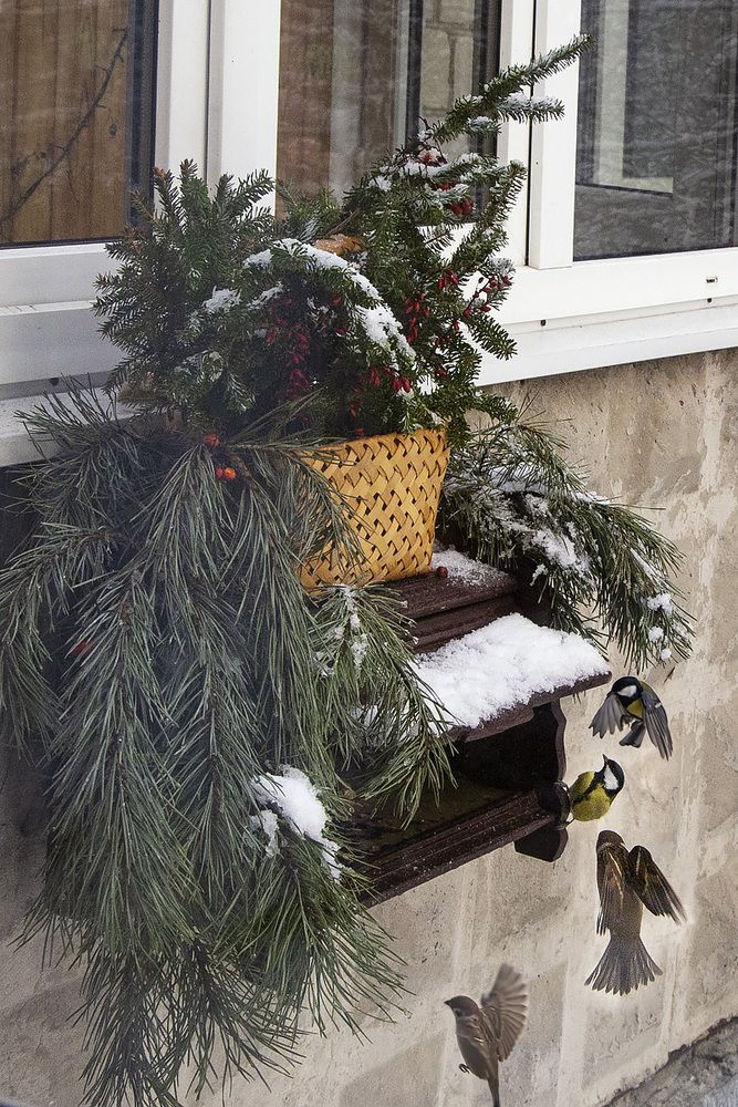 Новогодняя кормушка