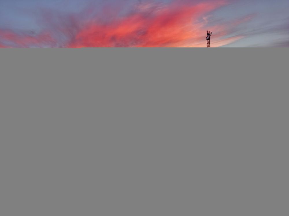 Photo 2954094