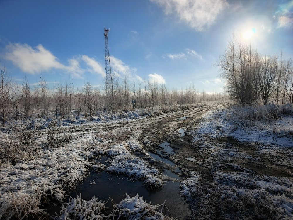 Photo 2954095