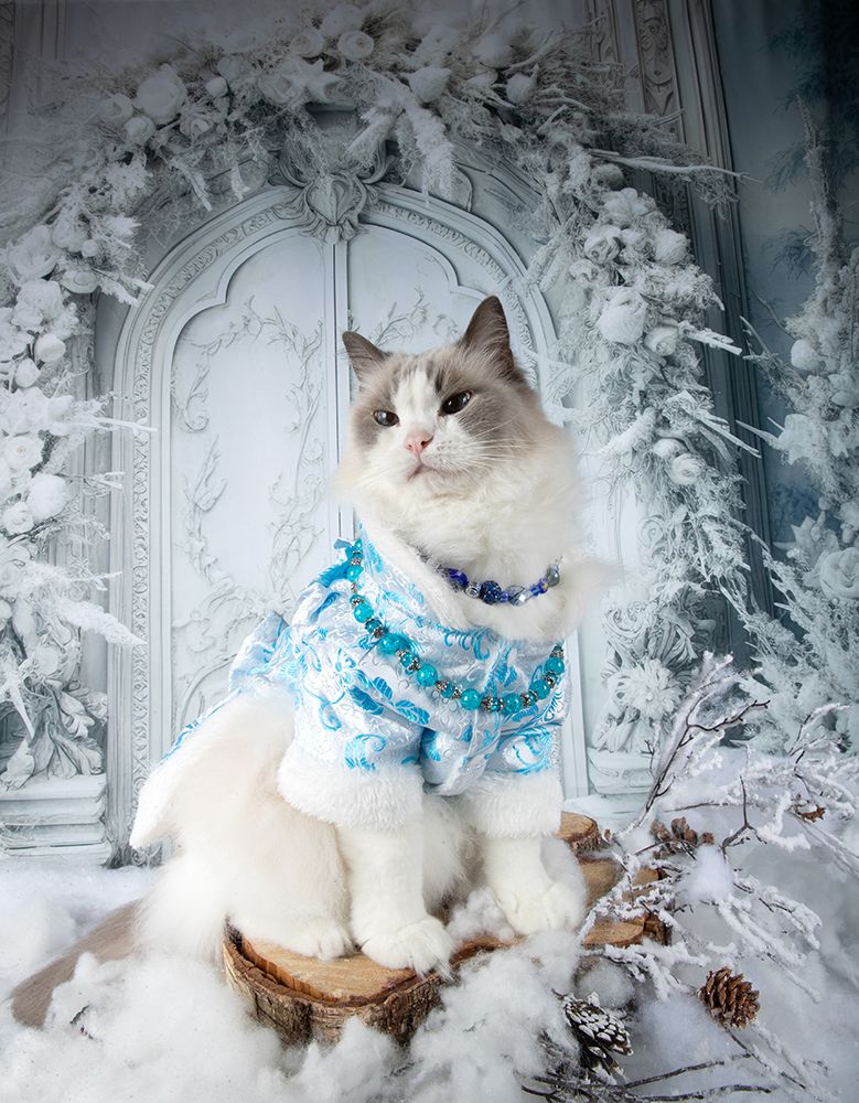 Happy New Year! Котики к Праздникам! С Новым Годом!