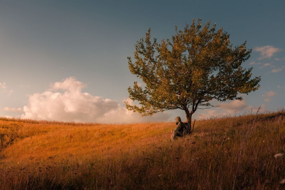 Себяшки