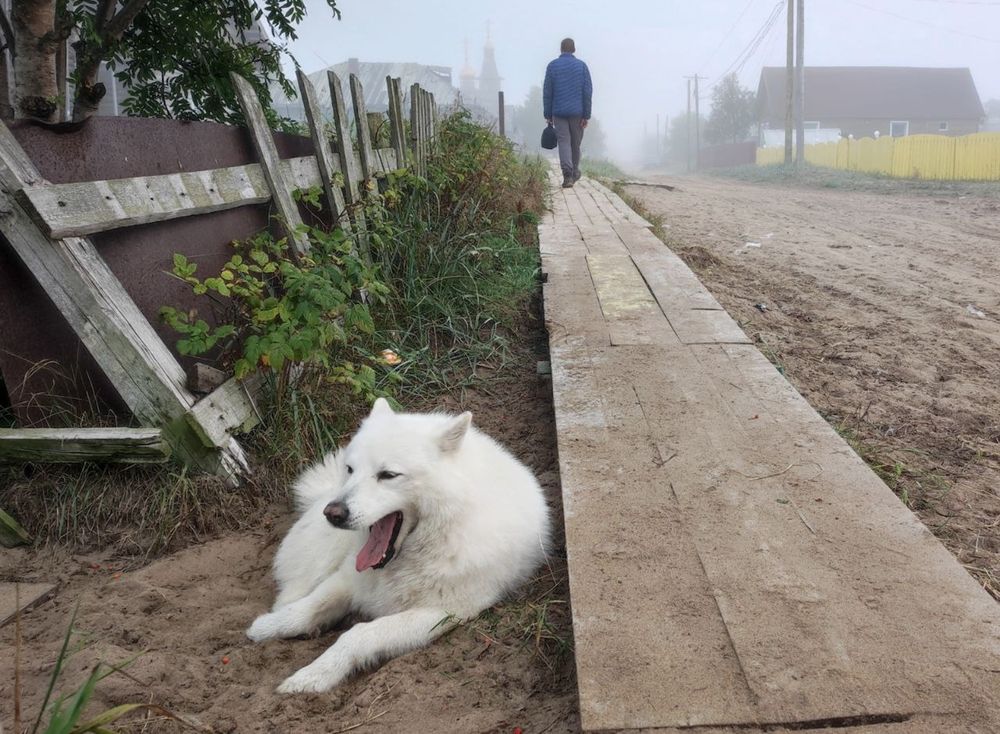 Путь в Кузомень