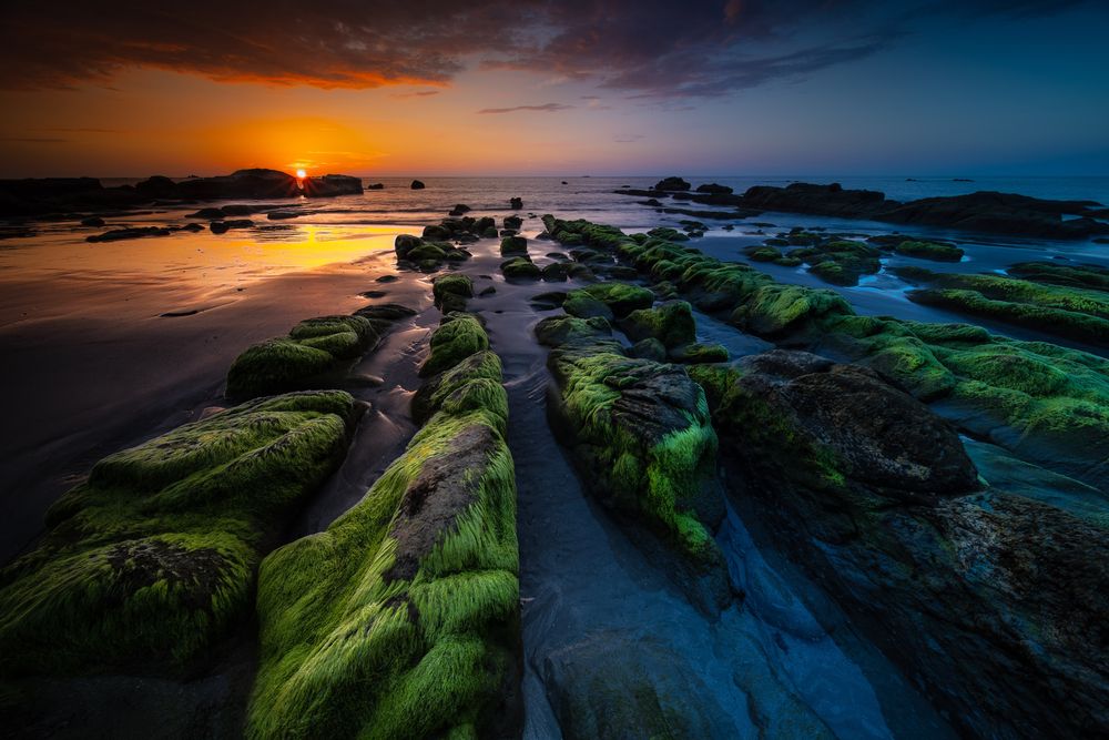 Joseph Cheung Photography