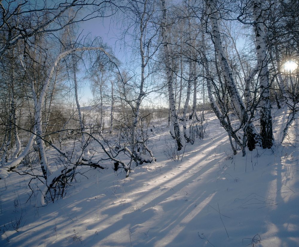 горный прилесок