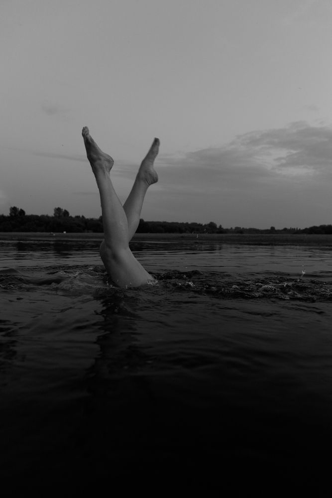 Photo 2956929