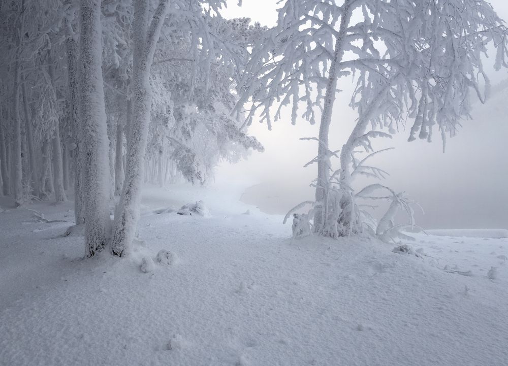 Зимнее безмолвие