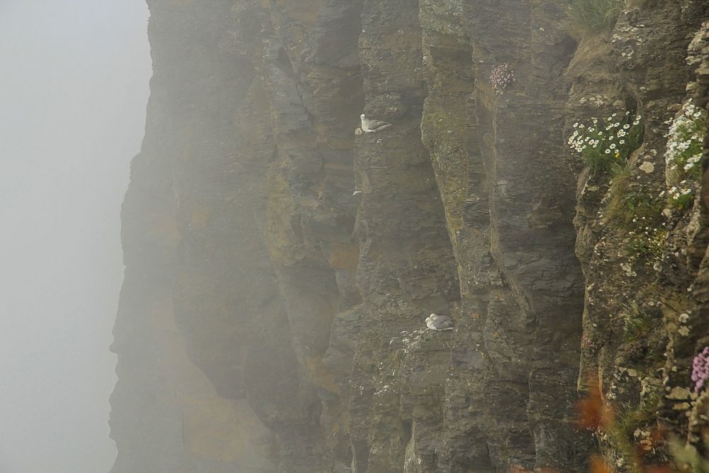 Cliffs of Moher