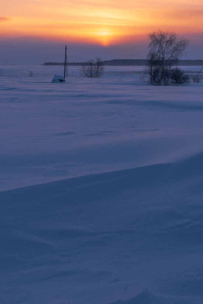 Photo 2958324