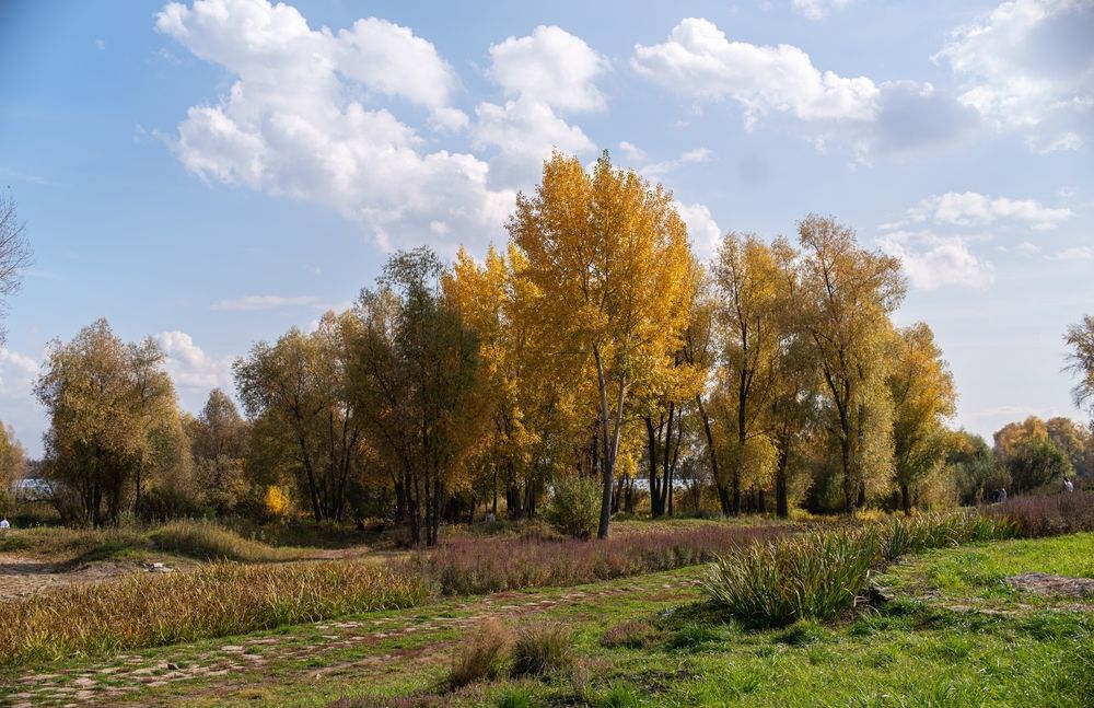Осень