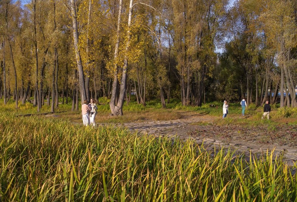 Осень