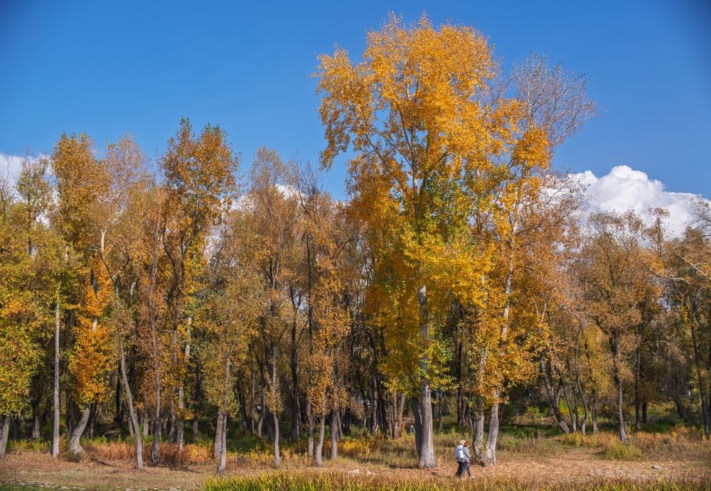 Осень