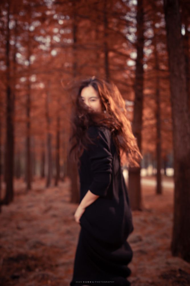 Photo 2959325